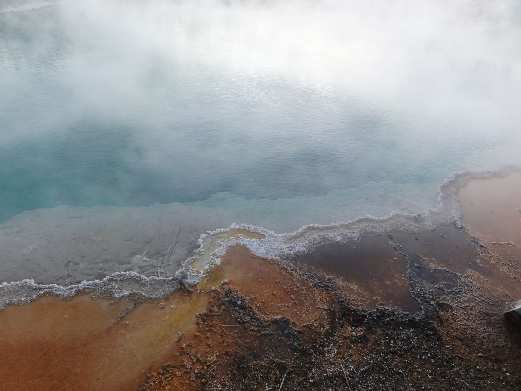 Geothermal steaming springs and mineral terraces in Rotorua